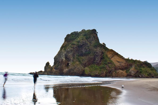 Coast and Rainforest Eco-Tour from Auckland with Picnic Lunch - Weather, clothing, and fitness