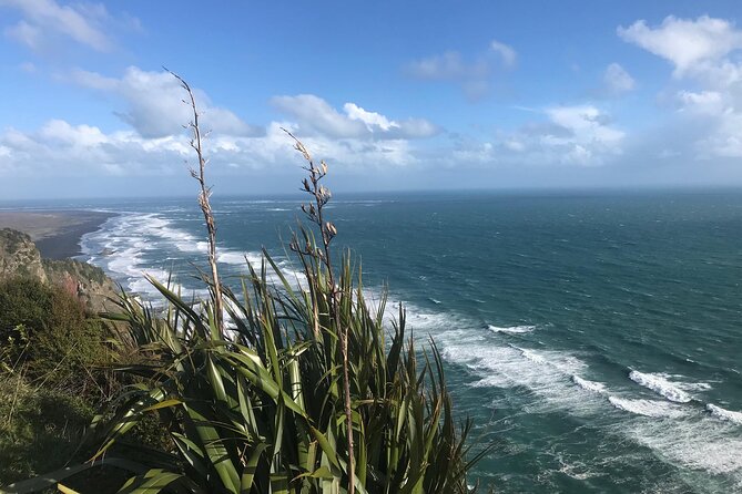 Coast and Rainforest Eco-Tour from Auckland with Picnic Lunch - Who should book this Auckland day trip?