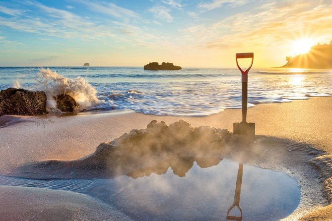 Coromandel Coastal Experience - Small Group Tour from Auckland - Key details before you book
