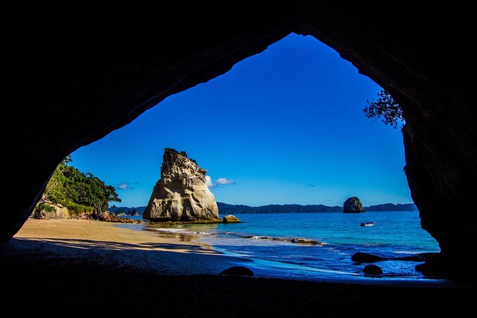 Coromandel Coastal Experience - Small Group Tour from Auckland - A 7:00 am Auckland start keeps the day possible