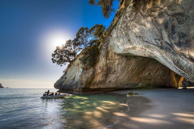 Coromandel Coastal Experience - Small Group Tour from Auckland - Thames is a useful coffee and comfort break