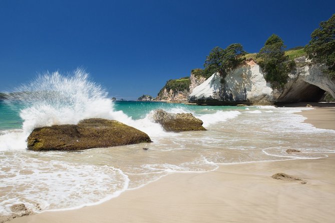 Coromandel Coastal Experience - Small Group Tour from Auckland - Three hours at the cove gives you choice