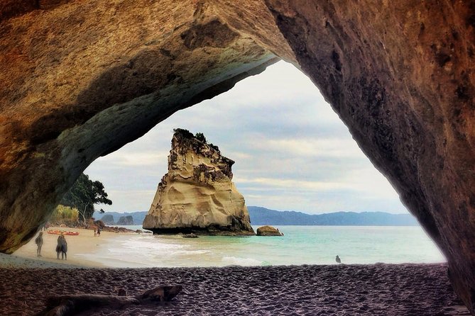 Coromandel Coastal Experience - Small Group Tour from Auckland - How the transport and small group affect value