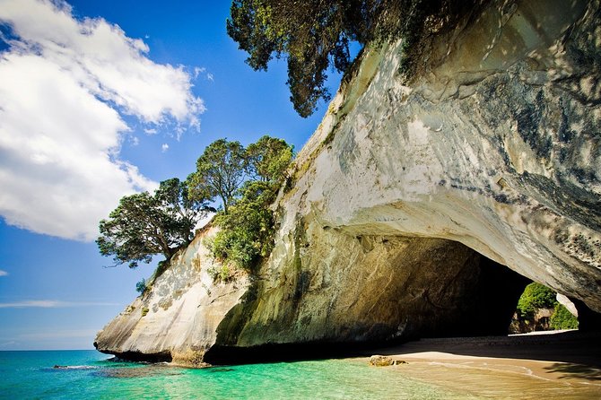 Coromandel Coastal Experience - Small Group Tour from Auckland - The Bombay Hills and the road south