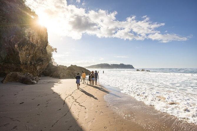 Coromandel Day Tour From Auckland - Riding the unusual Driving Creek Railway