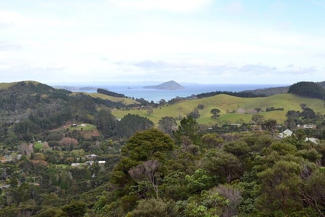 Coromandel Day Tour From Auckland - Walking toward Cathedral Cove