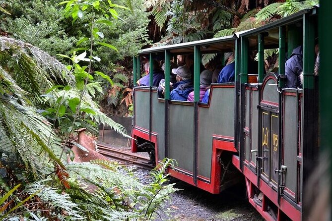 Coromandel Day Tour From Auckland - What the guide adds to the day