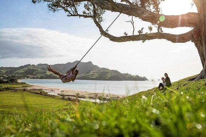Coromandel Day Tour From Auckland - Is $284.84 good value?