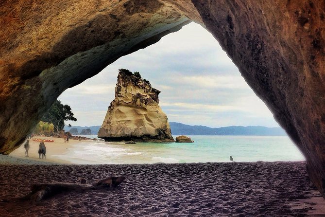Coromandel Peninsula Discovery - Private Tour From Auckland - Hahei Explorer and the Cathedral Cove coast