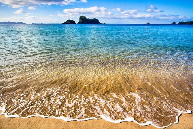 Coromandel Peninsula Discovery - Private Tour From Auckland - What to pack for this Coromandel day
