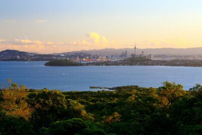 Day sea kayak tour Rangitoto Island