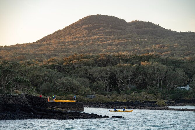 Day sea kayak tour Rangitoto Island - How hard is the tour?