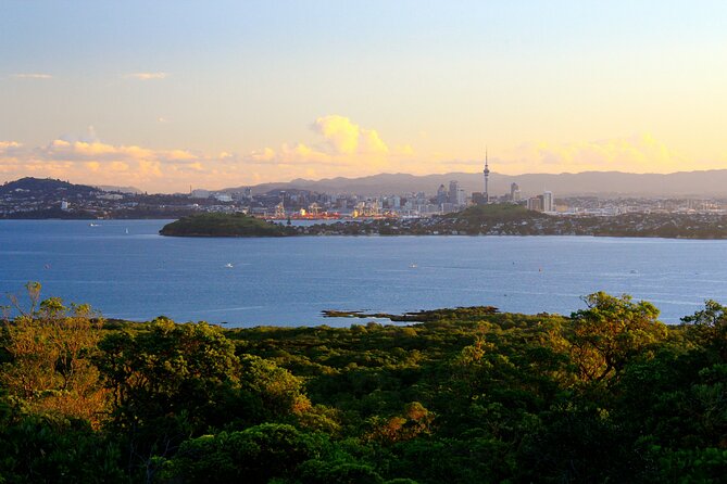 Day sea kayak tour Rangitoto Island - Landing at Rangitoto Wharf