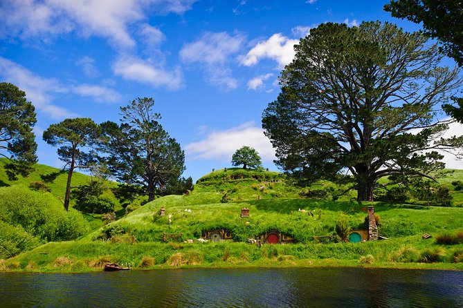 Day Tour Hobbiton + Rotorua from Auckland in Luxury Minibus - Why this Auckland day trip works
