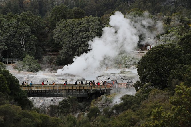 Day Tour Hobbiton + Rotorua from Auckland in Luxury Minibus - How the small group changes the day