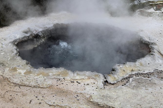Day Tour Hobbiton + Rotorua from Auckland in Luxury Minibus - What the $312.77 price really buys