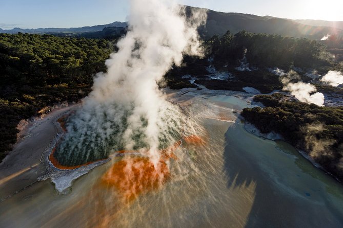 Devil's Bath Experience - Private Tour to Wai-O-Tapu & Lake Taupo - Honey tasting at Huka Honey Hive