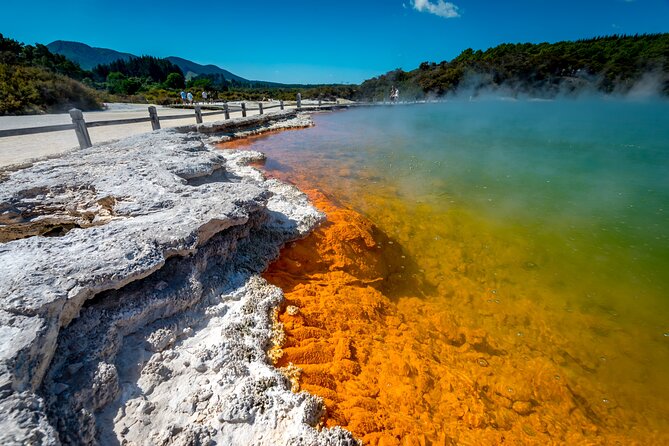 Devil's Bath Experience - Private Tour to Wai-O-Tapu & Lake Taupo - What the guide can change