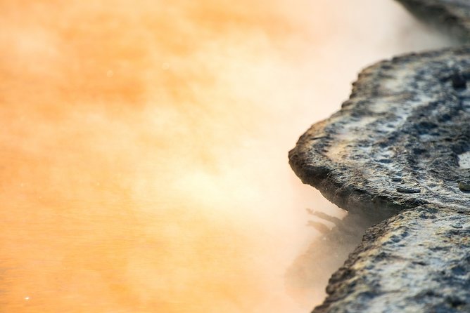 Devil's Bath Experience - Private Tour to Wai-O-Tapu & Lake Taupo - Tirau’s corrugated iron animals