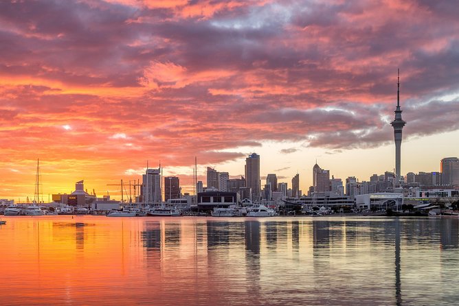 Discover Auckland City Tour: The City of Sails - One Tree Hill, Maungakiekie, and the 360-degree view