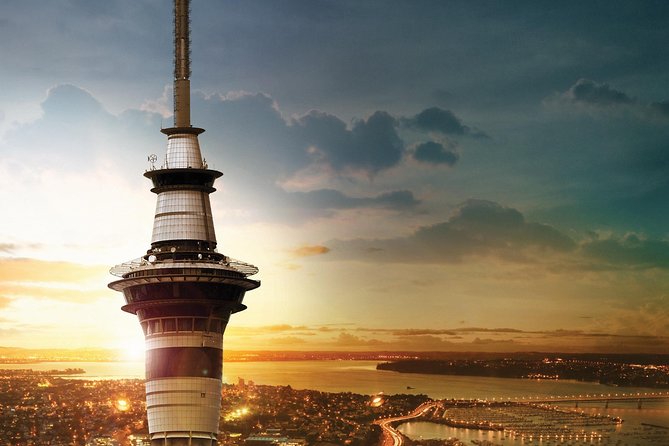 Discover Auckland City Tour: The City of Sails - Mount Eden and Auckland from a volcanic cone