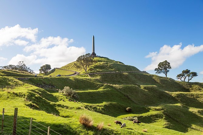 Discover Auckland City Tour: The City of Sails - What is included for $108.60