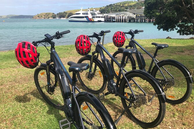 eRide Waiheke 5 bays ride - Wineries, olive groves, and food stops