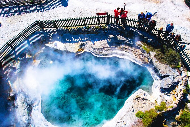 Ex Auckland: Rotorua Māori Village with Haka and Hot Springs - Is $245.13 a fair price?