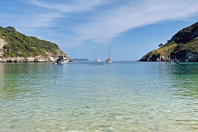 Exclusive Sailing Charter from Waiheke Island - Key points to know before booking