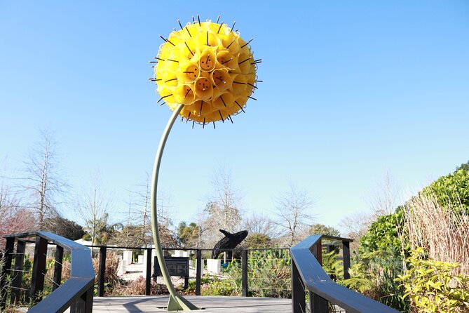 Explore gardens & galleries filled with incredible art, Matakana - Adding Wine, Coffee, or a Meal