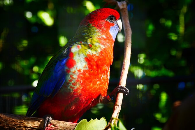 Explore gardens & galleries filled with incredible art, Matakana - How Long You Should Allow