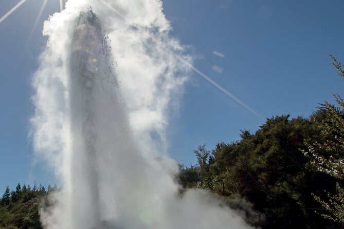 From Auckand: Waiotapu and Polynesian Spa Rotorua Day Tour - Who should book this experience