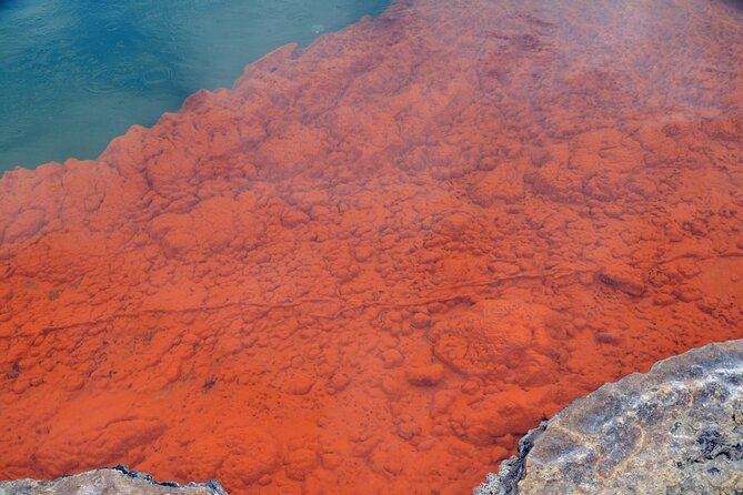 From Auckand: Waiotapu and Polynesian Spa Rotorua Day Tour - Wai-O-Tapu and the colors of volcanic activity