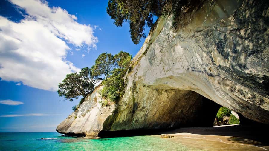 From Auckland: Cathedral Cove & Hot Water Beach Tour - Key points to know before you book
