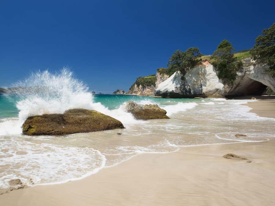 From Auckland: Cathedral Cove & Hot Water Beach Tour - Why this Coromandel day trip is worth your time