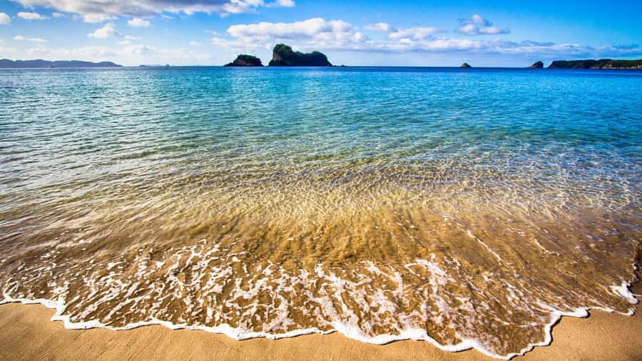 From Auckland: Cathedral Cove & Hot Water Beach Tour - What the small group and guide add