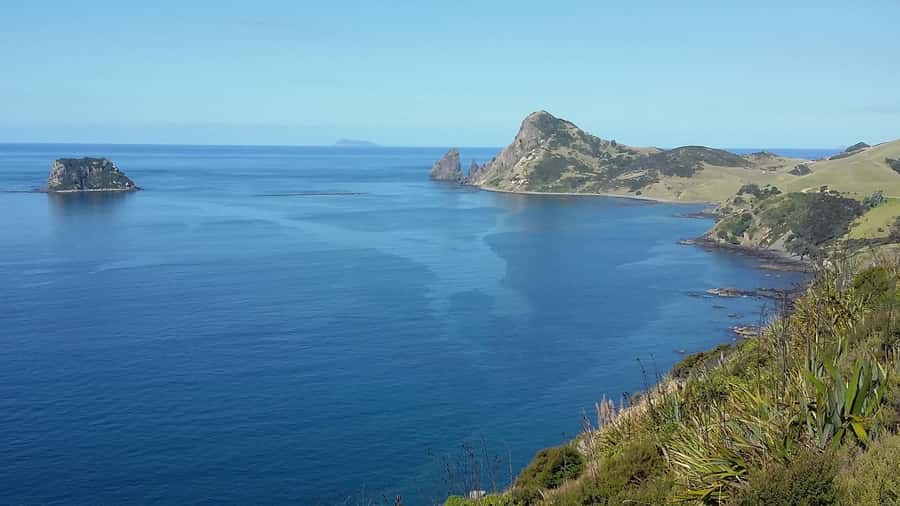 From Auckland: Cathedral Cove & Hot Water Beach Tour - Is the 10-hour schedule good value?