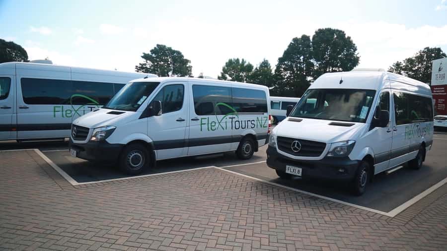 From Auckland: Day Trip to Rotorua with Optional extras - Entering Te Puia and meeting Māori culture