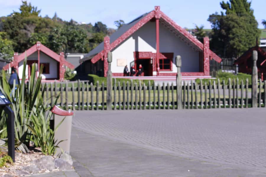 From Auckland: Day Trip to Rotorua with Optional extras - The comfort question on a 13-hour day