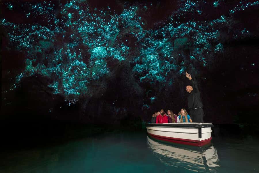 From Auckland: Day Trip to Waitomo Glow Worm Caves - Why the Waitomo glowworm boat ride is the main event