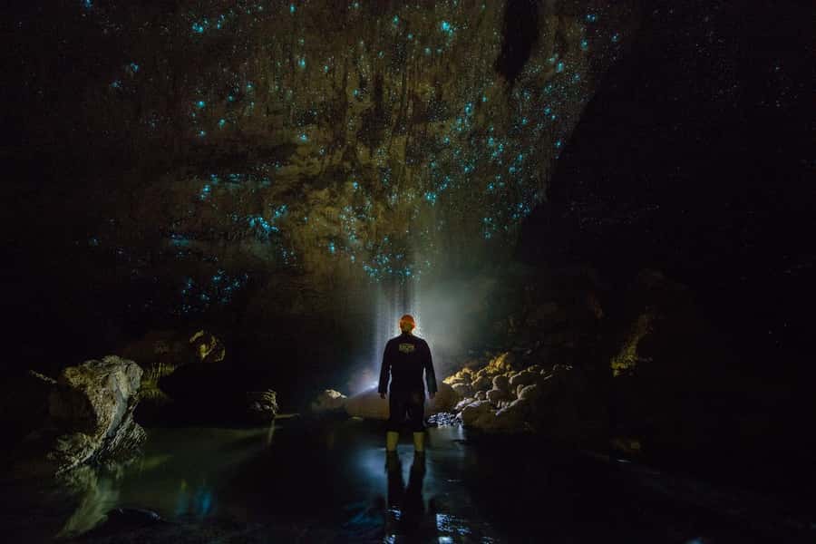 From Auckland: Day Trip to Waitomo Glow Worm Caves - Thirty minutes at Waitomo: use it well