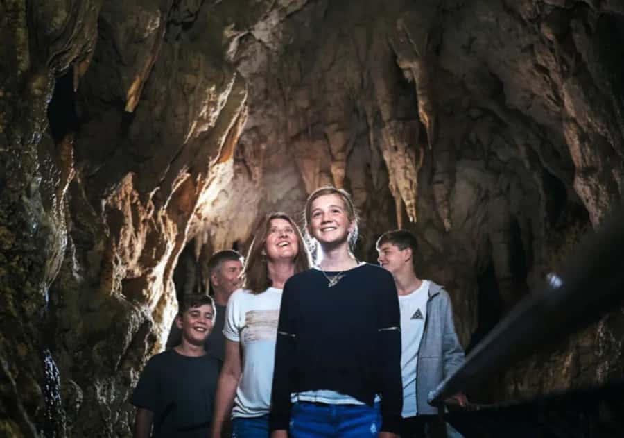 From Auckland: Day Trip to Waitomo Glow Worm Caves - Inside the cave, expect a guided and fairly compact visit