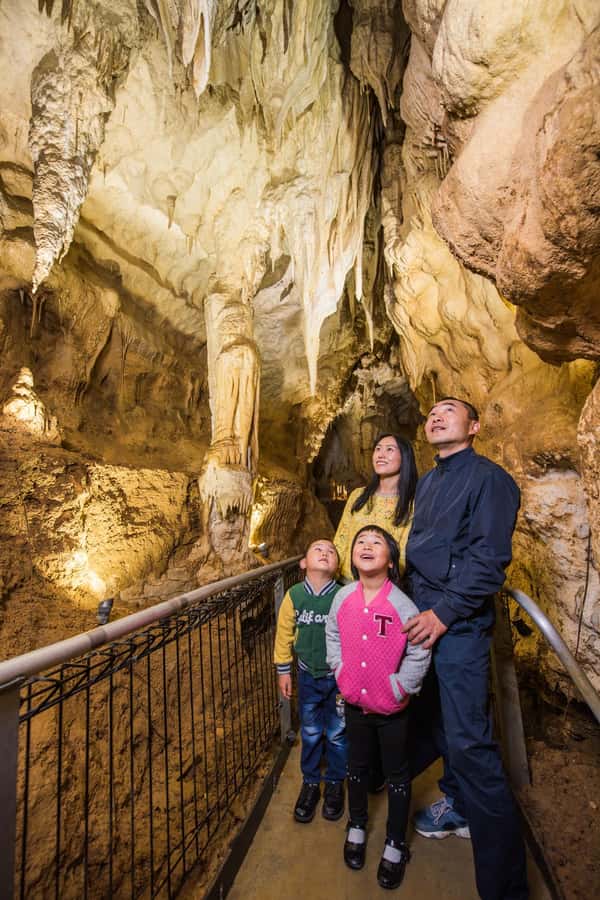From Auckland: Day Trip to Waitomo Glow Worm Caves - FAQ