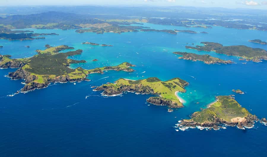From Auckland: Full-Day Tour to the Bay of Islands - Auckland to Paihia: a long road with a useful guide