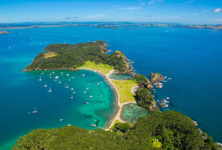 From Auckland: Full-Day Tour to the Bay of Islands - Looking for dolphins across the Bay