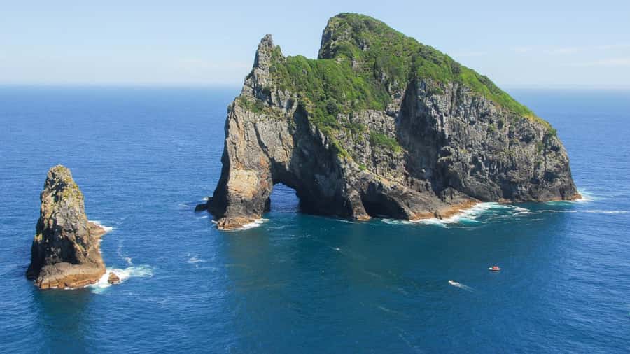 From Auckland: Full-Day Tour to the Bay of Islands - Urupukapuka Island: your short break on land
