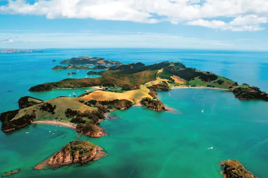 From Auckland: Full-Day Tour to the Bay of Islands - Who will enjoy this tour most?