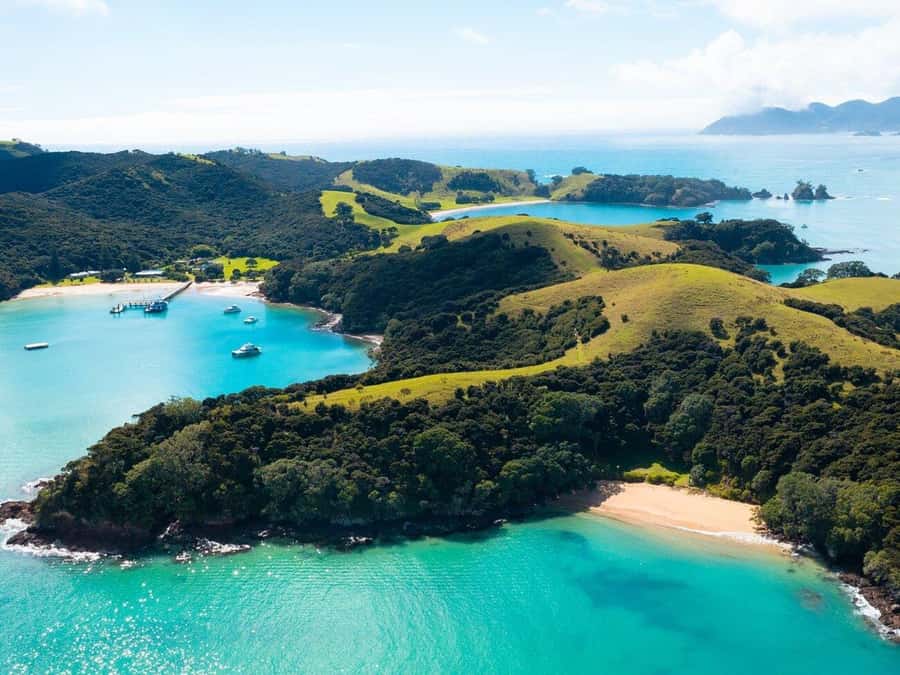 From Auckland: Full-Day Tour to the Bay of Islands - Booking details that matter