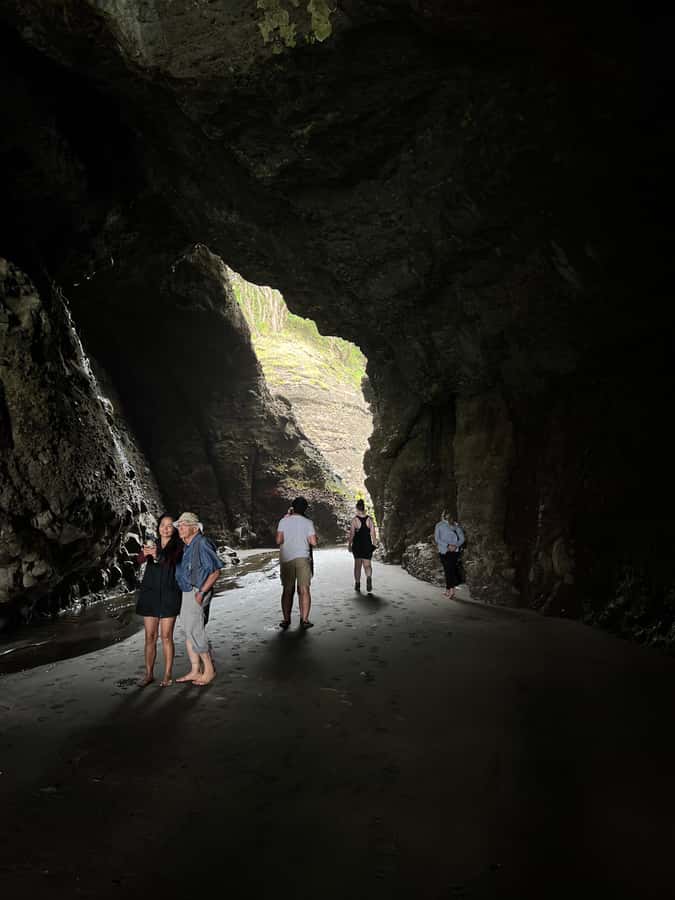 From Auckland: Guided Tour of Piha with Scenic Beach Walks - Key points at a glance