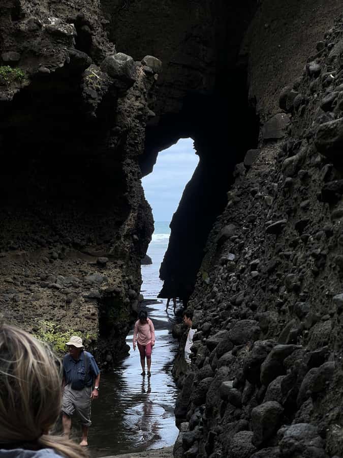 From Auckland: Guided Tour of Piha with Scenic Beach Walks - North Piha: forest tracks and a slower coastal walk